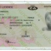 Driving license