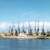 Port Elizabeth image