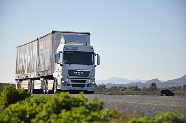 MAN truck image