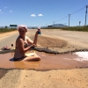Rosie Morrison image