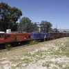 Transnet aids drought stricken farmers Transnet train image