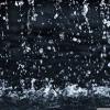 rain image