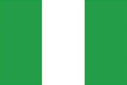 nigerian flag image
