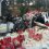 Dairy truck crash