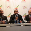 Ethiopian Airlines SA panel