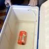 EgyptAir flight MS804 black box