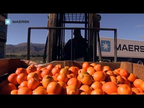 Pleasing refrigerated container trade in South Africa